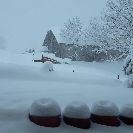 Bed & Breakfast Snow+surf *