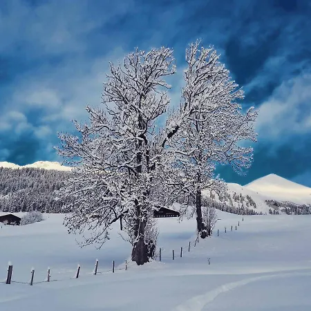Snow+surf Bed & Breakfast *