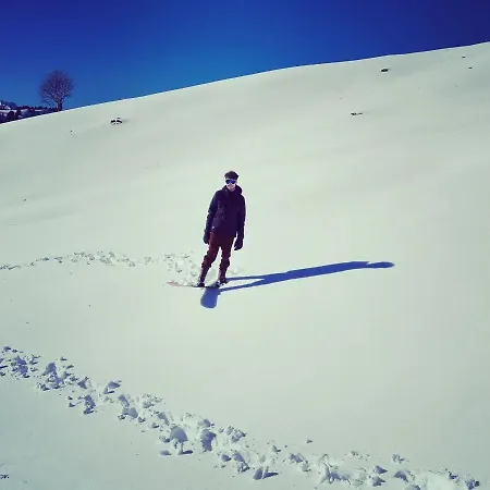 Snow+surf