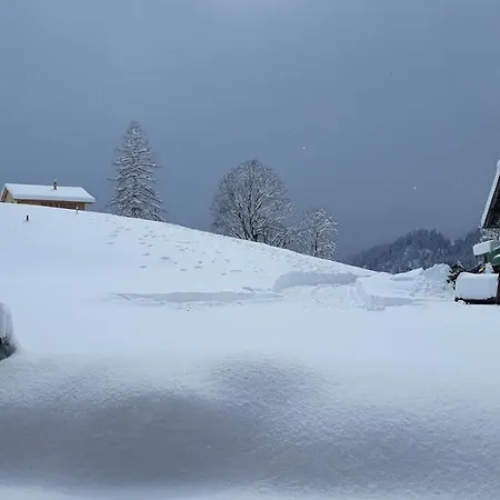Snow+surf Bed & Breakfast Lauenen