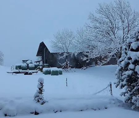 Snow+surf Lauenen