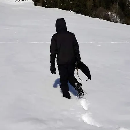ベッド・アンド・ブレックファスト Snow+surf Lauenen
