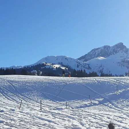 Snow+surf فندق مبيت وإفطار لاوينن