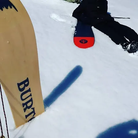 Snow+surf