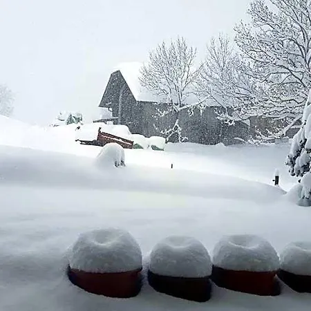 Snow+surf ベッド・アンド・ブレックファスト Lauenen