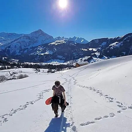 Snow+surf ベッド・アンド・ブレックファスト Lauenen
