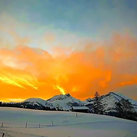 Snow+surf 3* Lauenen