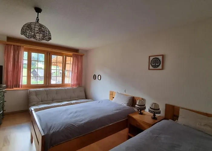 Snow+surf 3* Lauenen