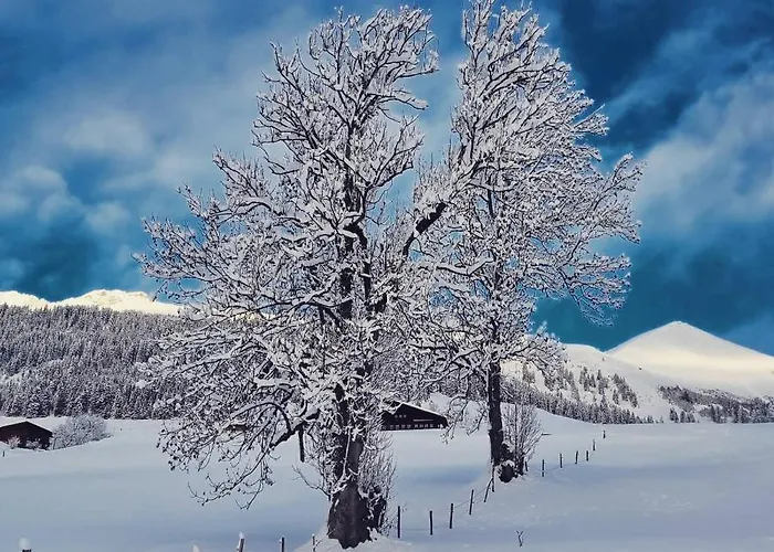 Snow+surf فندق مبيت وإفطار 3*