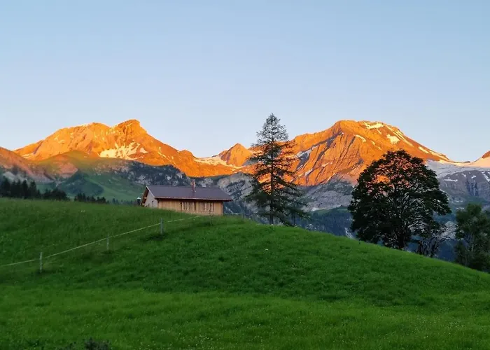 Snow+surf لاوينن