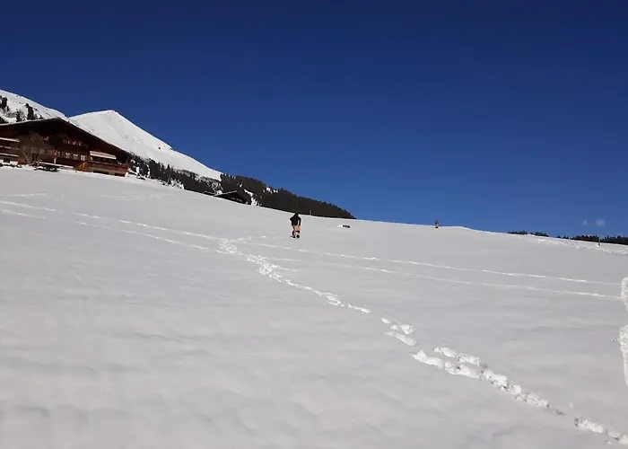 Snow+surf 3* لاوينن