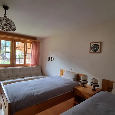 Snow+surf 3* Lauenen