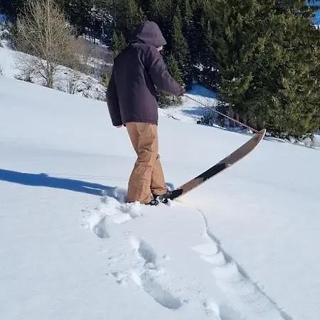 Snow+surf 3* Lauenen