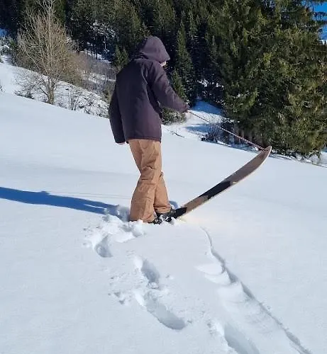 Snow+surf 3* لاوينن