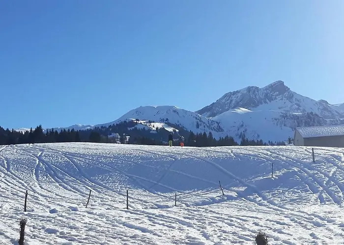 Snow+surf فندق مبيت وإفطار لاوينن