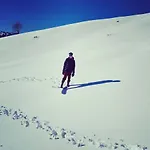 Snow+surf