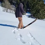 Snow+surf 3* Lauenen