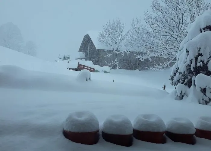 Bed & Breakfast Snow+surf 3*